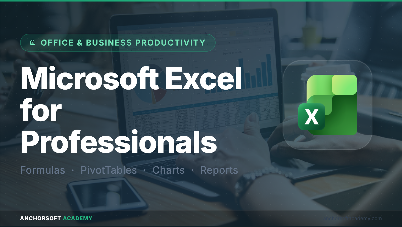 Microsoft Excel for Professionals